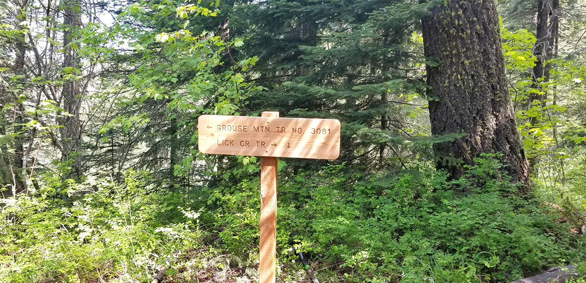 The Grouse Mountain Trail is a show stopper. This family friendly trail is a staple outdoor activity in the Blue Mountains.
